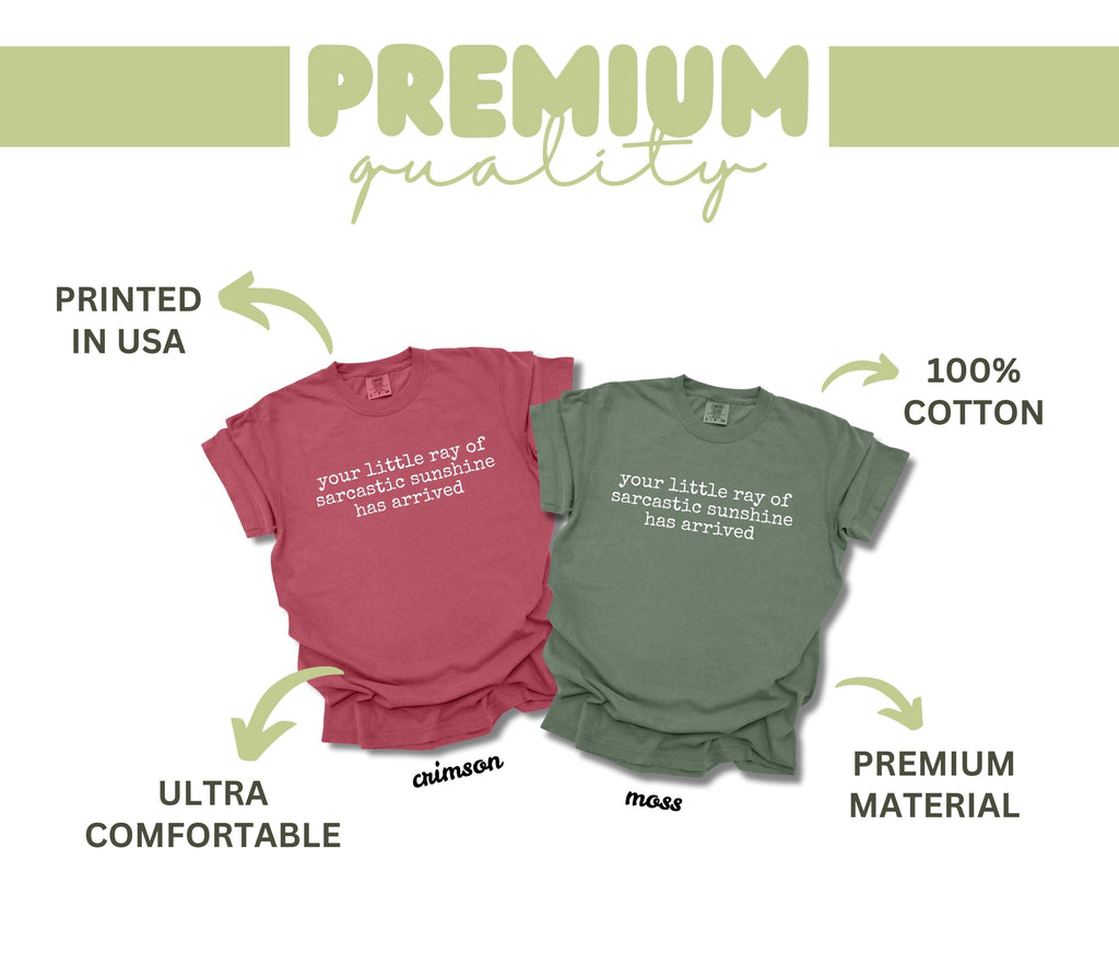 Comfort Colors Little Ray Sarcastic Sunshine Arrived Sarcastic Humor