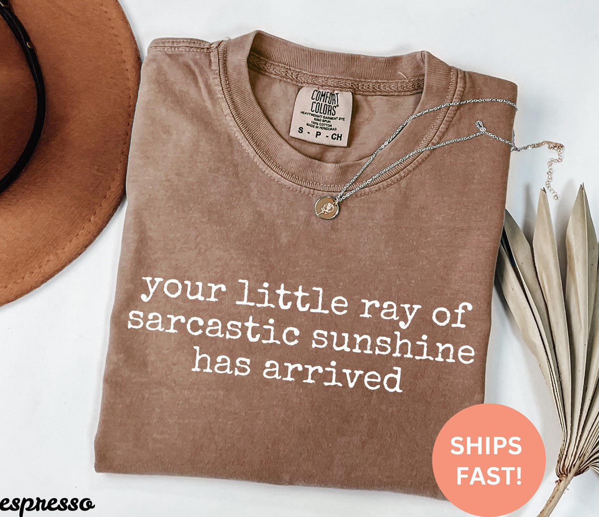 Comfort Colors Little Ray Sarcastic Sunshine Arrived Sarcastic Humor