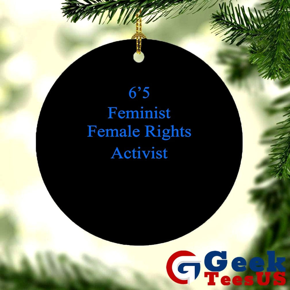 Akshay 6’5 feminist female rights shirt Unisex , , , Long Sleeve Tee