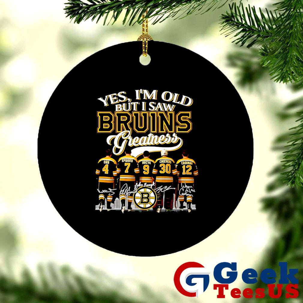 Boston Bruins hockey Yes I’m Old But I Saw Bruins Greatness NHL Squad 2025 signature shirt