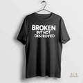 Official Broken But Not Destroyed