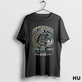 Official Pittsburgh To Dublin 2025 Football Irish American T Shirt