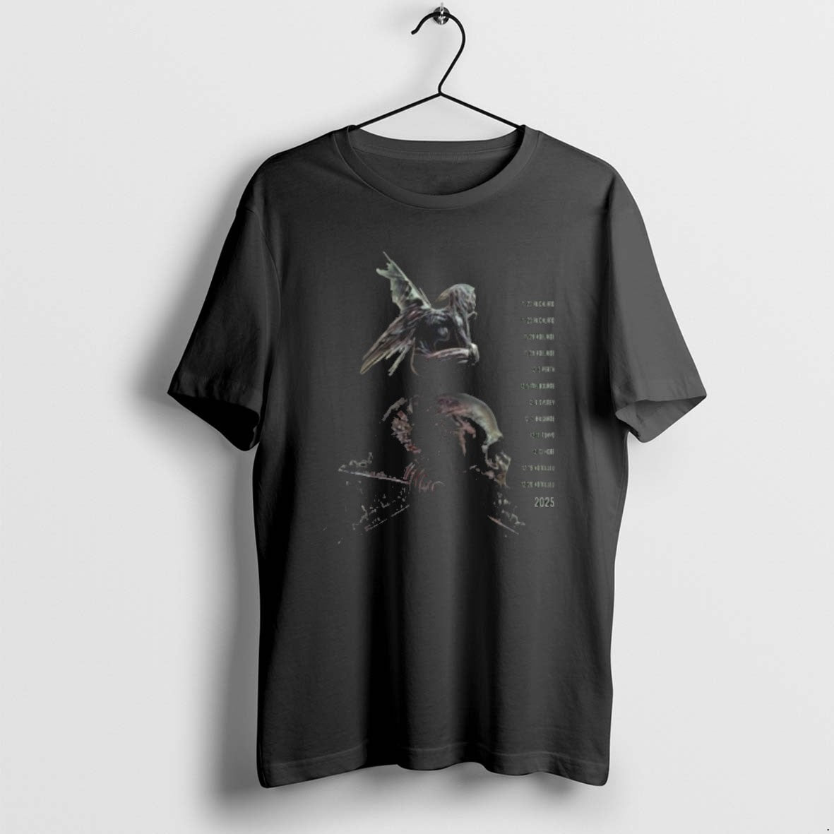 Official Tool Adi 2025 Pacific Rim Tour