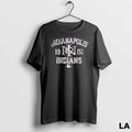 Original Indianapolis Indians Est 1902