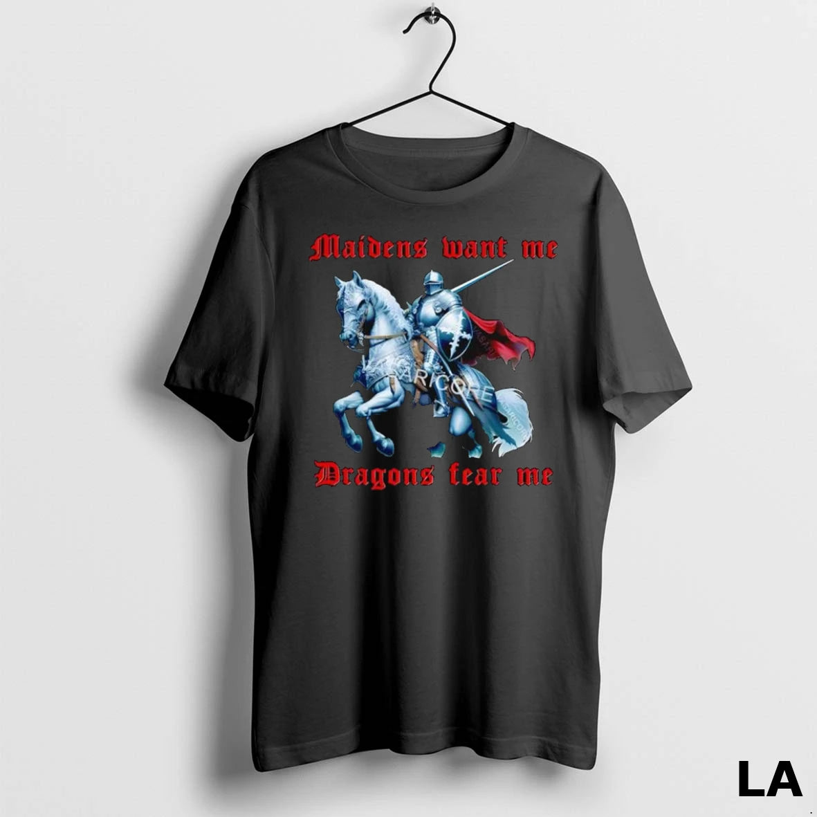 Original Maidens Want Me Dragons Fear Me Graphic