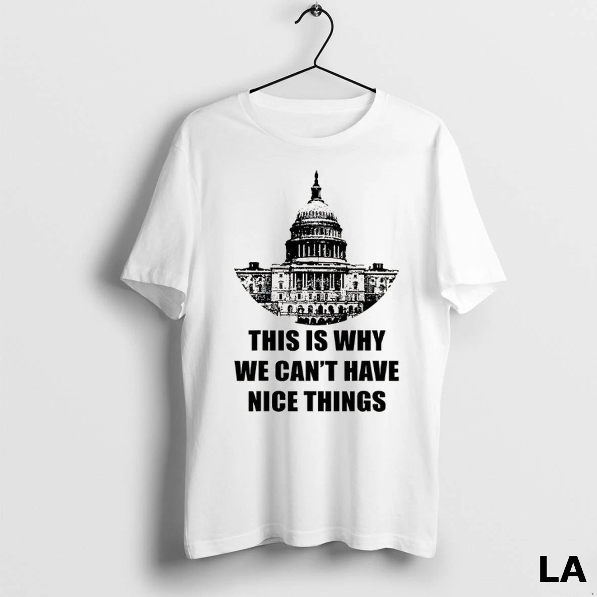 Original This Is Why We Cant Have Nice Things Anti Government