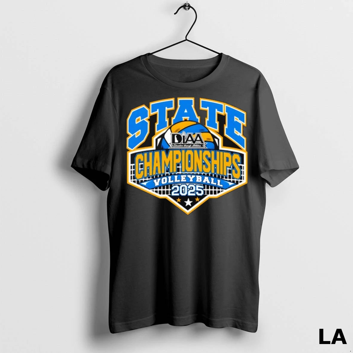 Original Volleyball States Diaa 2025 State Championships