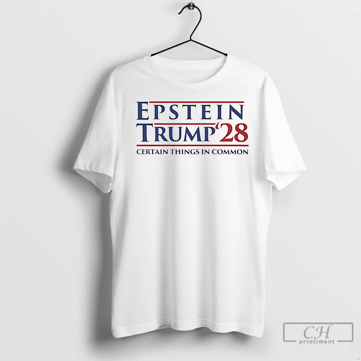 Premium Epstein Trump 2028 Certain Things In Common