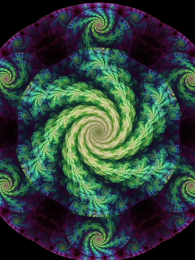 Herbarium Spiral by Garrett Spear