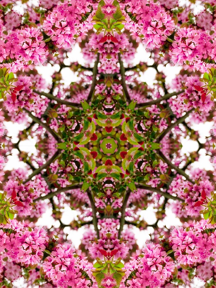 pink blossom kaleidoscope by J-Brezy