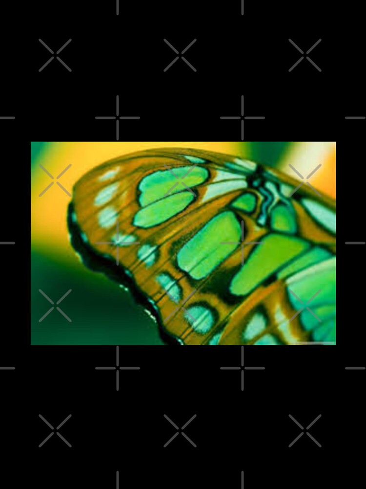 Best butterfly Wings Design by Sameer Shrivastava