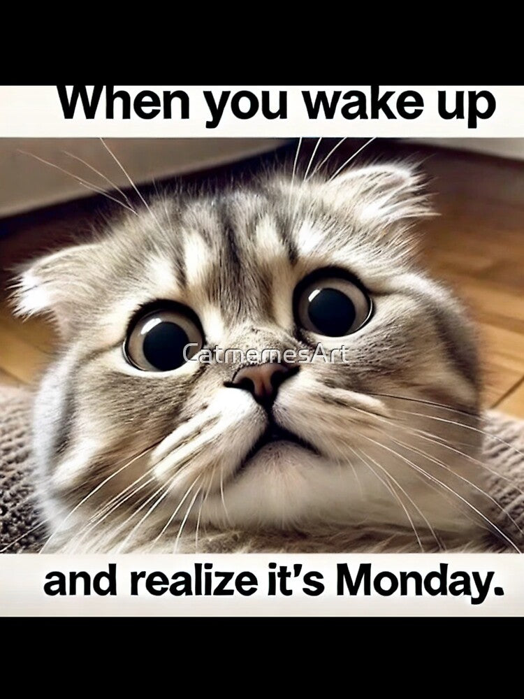 Wake Up Cat Meme - When You Wake Up and Realize It's Monday by CatmemesArt