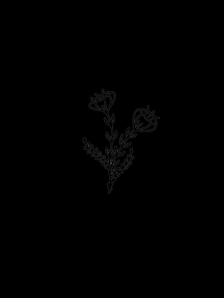 Minimalist Flowers by b-mcn