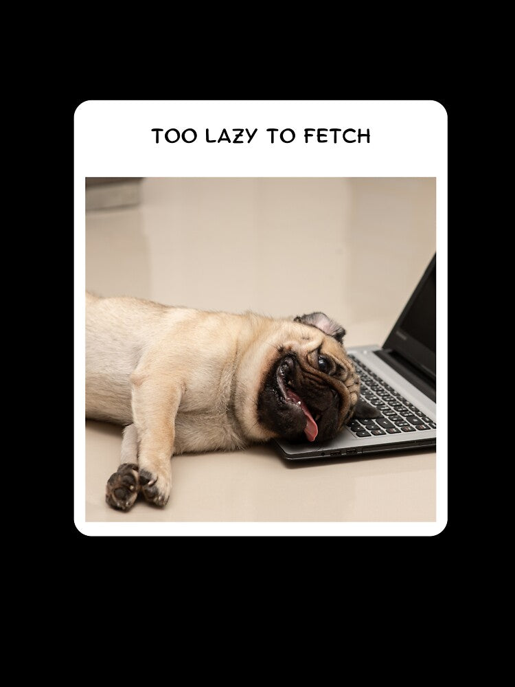 Too lazy to fetch by Oh my DOG!