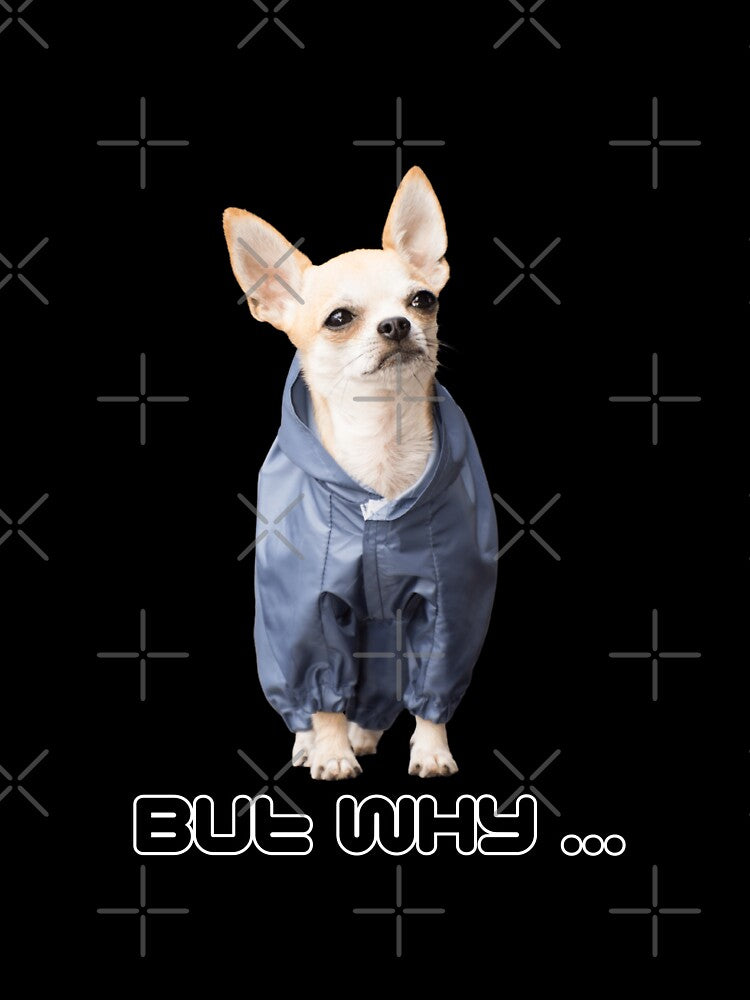 But why chiwawa by Weather gifts