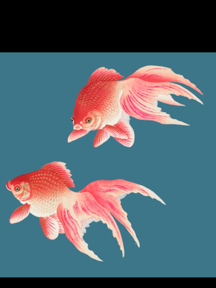 Japanese Animal Art - Goldfish - Modern Ukiyo-e - Japandi, Turquoise by Black Swallow