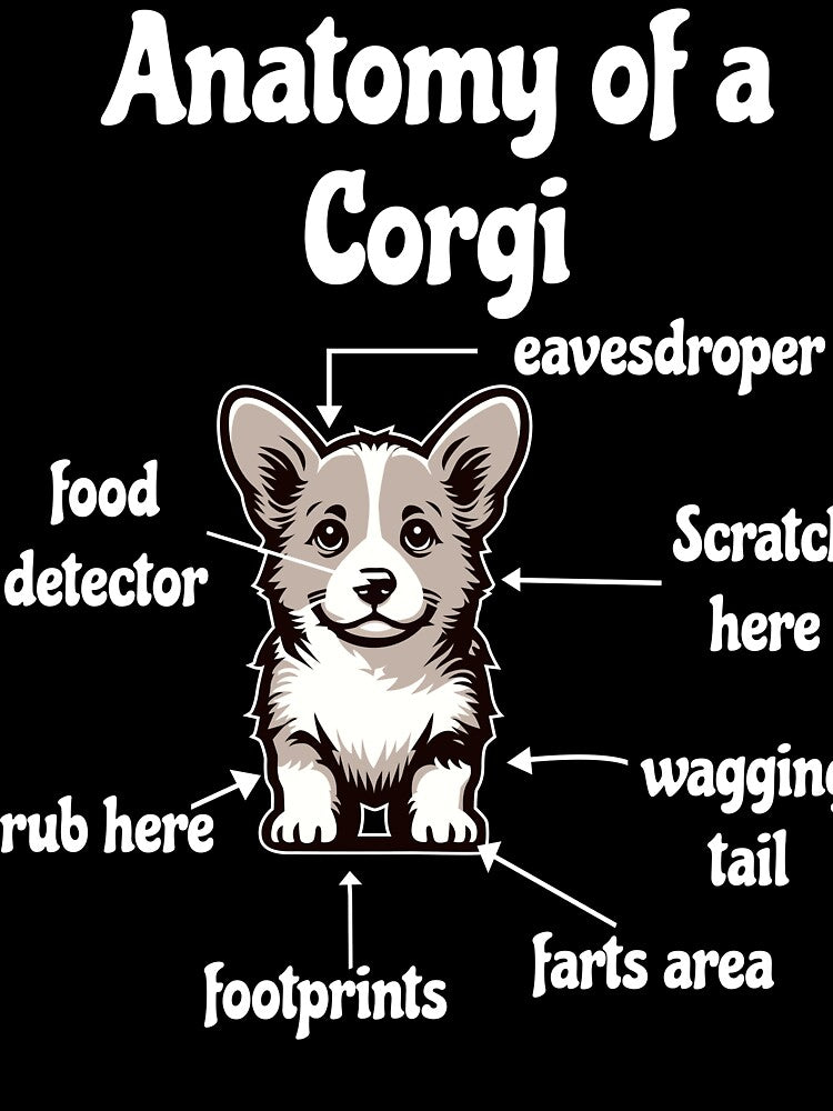 Korgi Dog Anatomy of a Corgi by Digitayaa