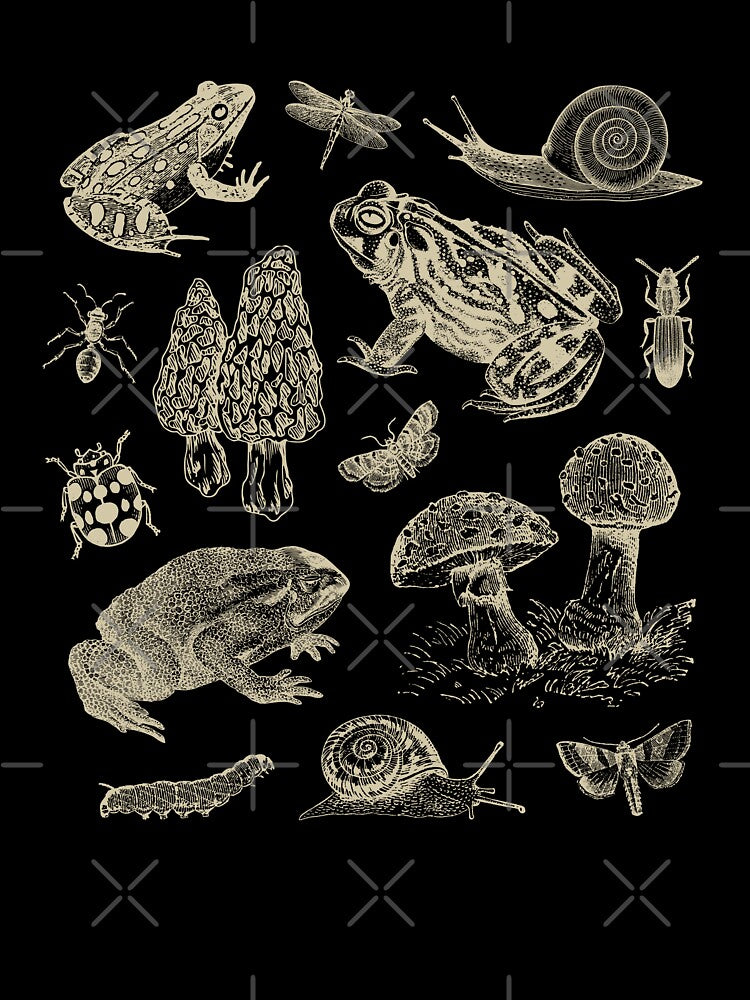 Goblincore Vintage Biology: Nature Lover's Collection of Frog, Mushroom, Snail, and Moth Insects for Science and Natural History Fan by MinistryOfFrogs
