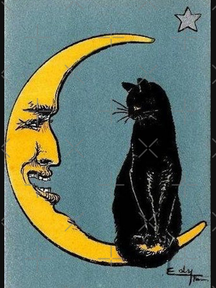 Vintage French Black Cat Moon by ArtWithHearts11