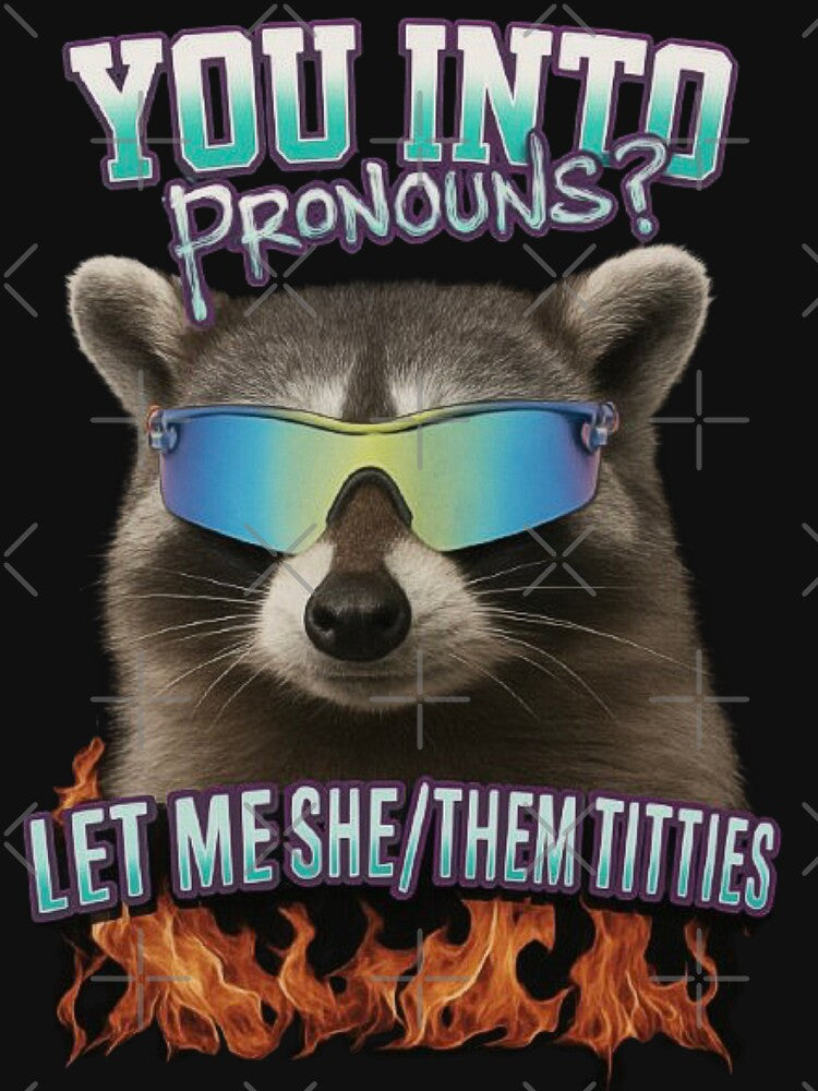 Stylish Pronouns Design – Funny Raccoon Art, Inappropriate Humor, Ironic Meme Gift for Her, Women, Men, and Girls by love3617