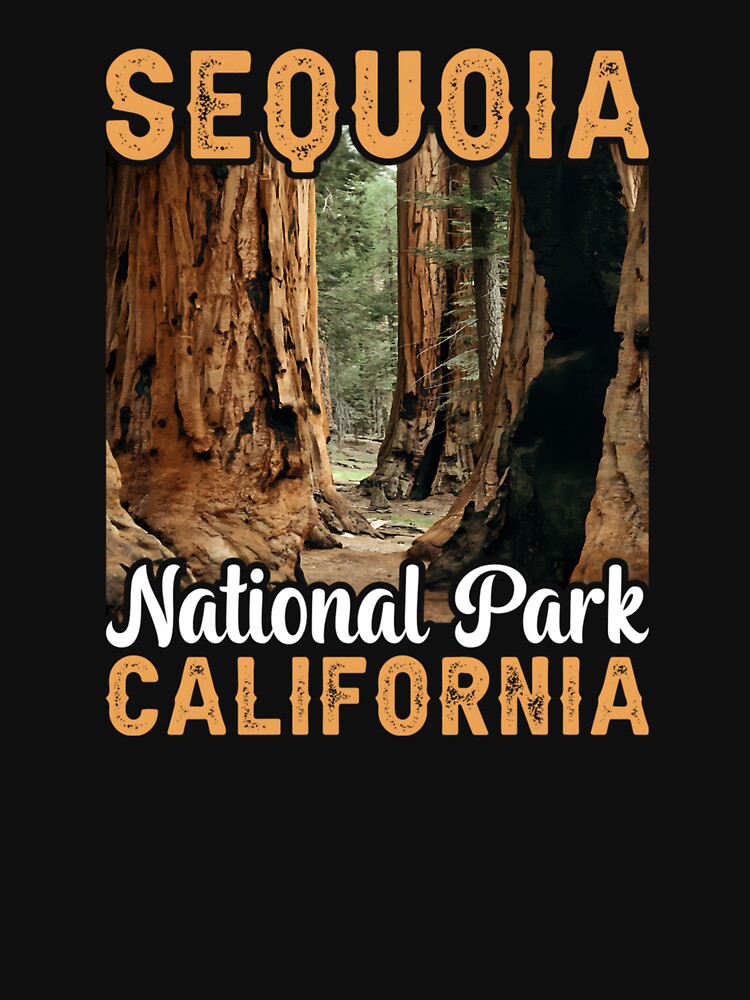 Sequoia National Park California Nature Outdoor by Valentingpni