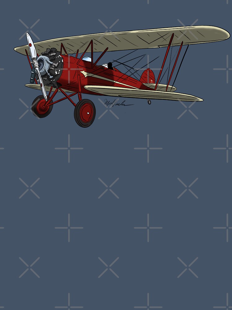 WACO N9571H Bi Plane Airplane by Michael Garber