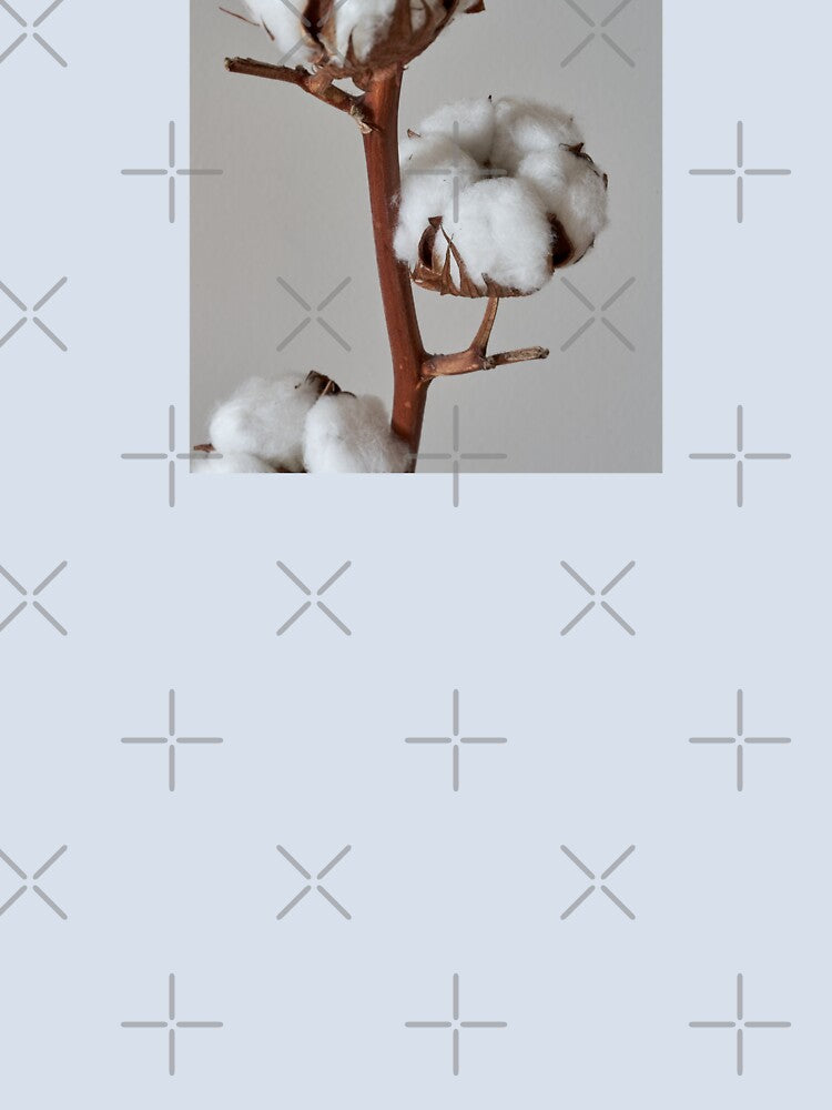 cotton flower by IgorKovalenko
