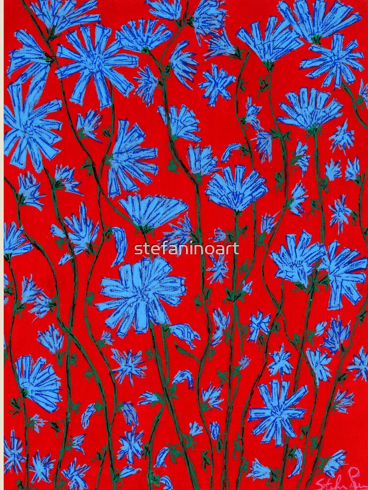 fiori di cicoria by stefaninoart