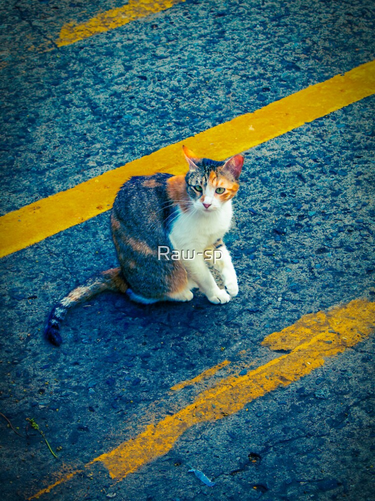 cat between yellow lines by Raw-sp