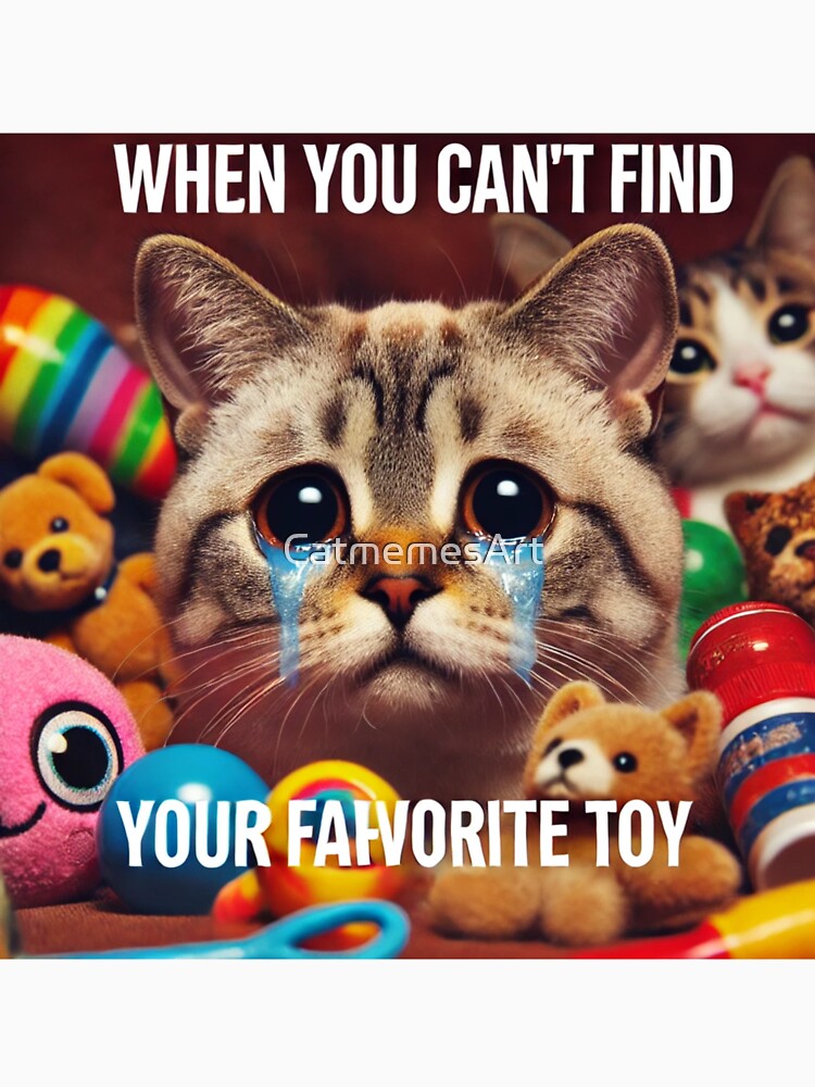 Crying Cat Meme - When You Can't Find Your Favorite Toy by CatmemesArt