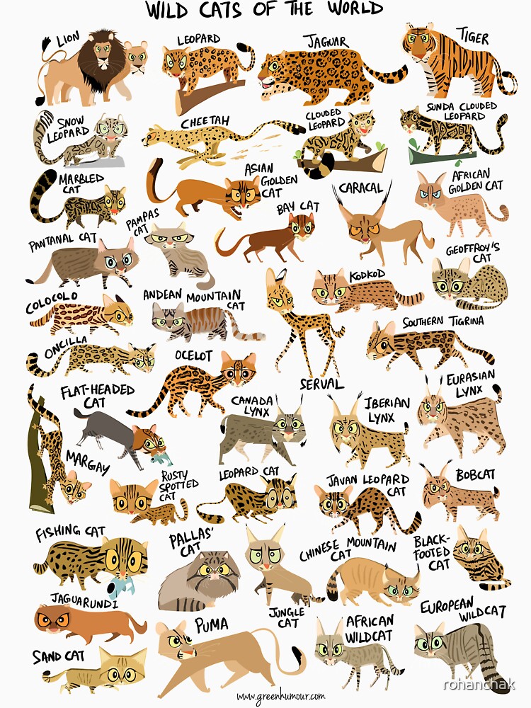 Wild Cats of the World by Green Humour