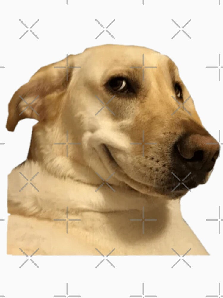 Funny dog by funny   artist