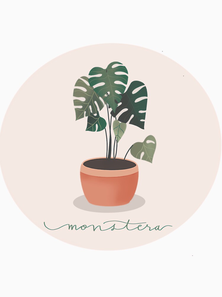 Monstera Plant Minimal Illustration by ciocdlmj81