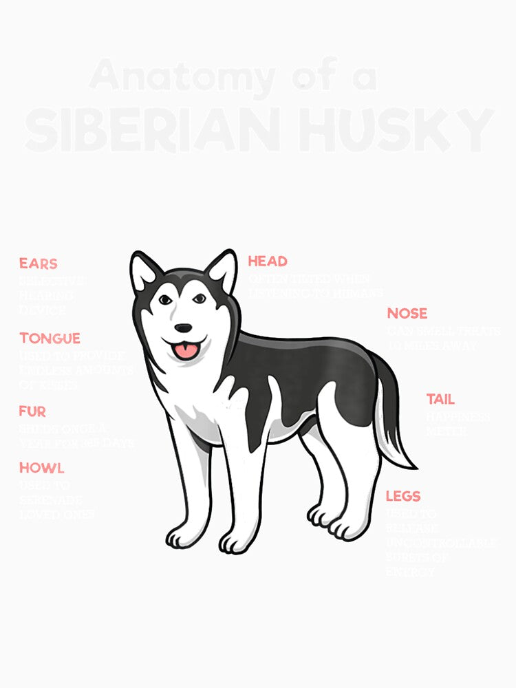 Anatomy Of A Siberian Husky Funny Dog by NiceStore059
