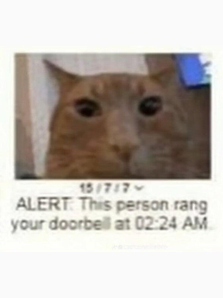 Orange cat meme this person rang your doorbell by yuccaroot