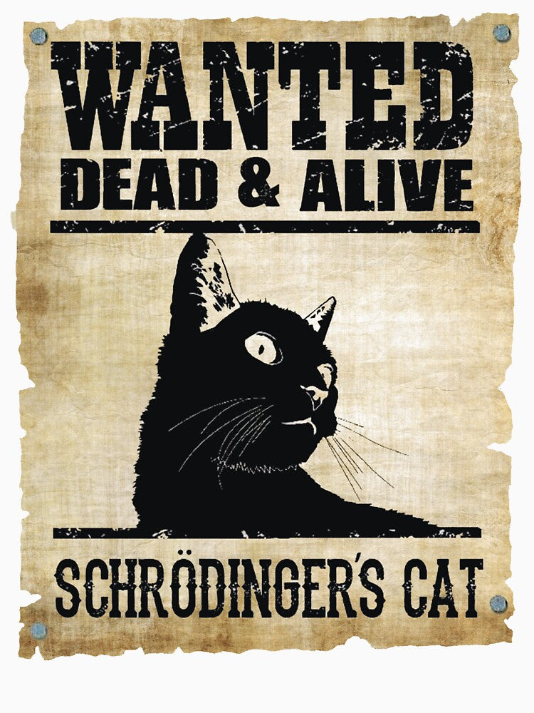 Schrodinger's Cat Poster by Fairyjam