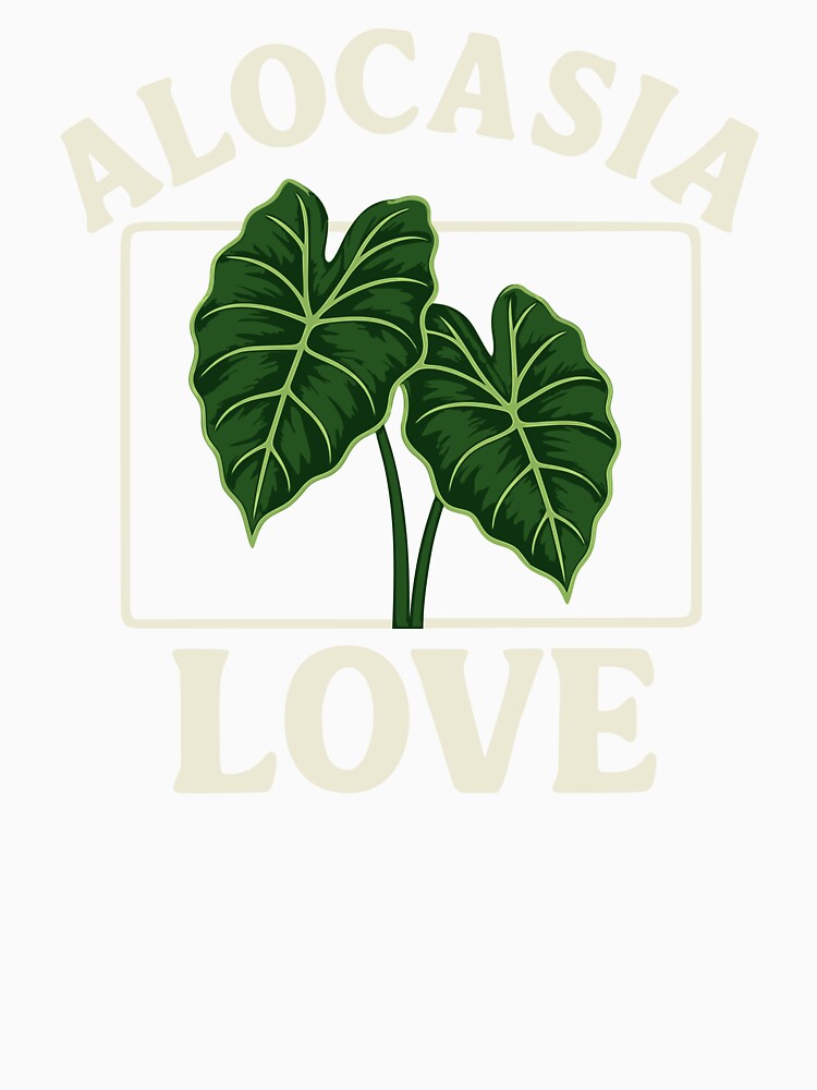 Alocasia Love by ZeitgeistSeason