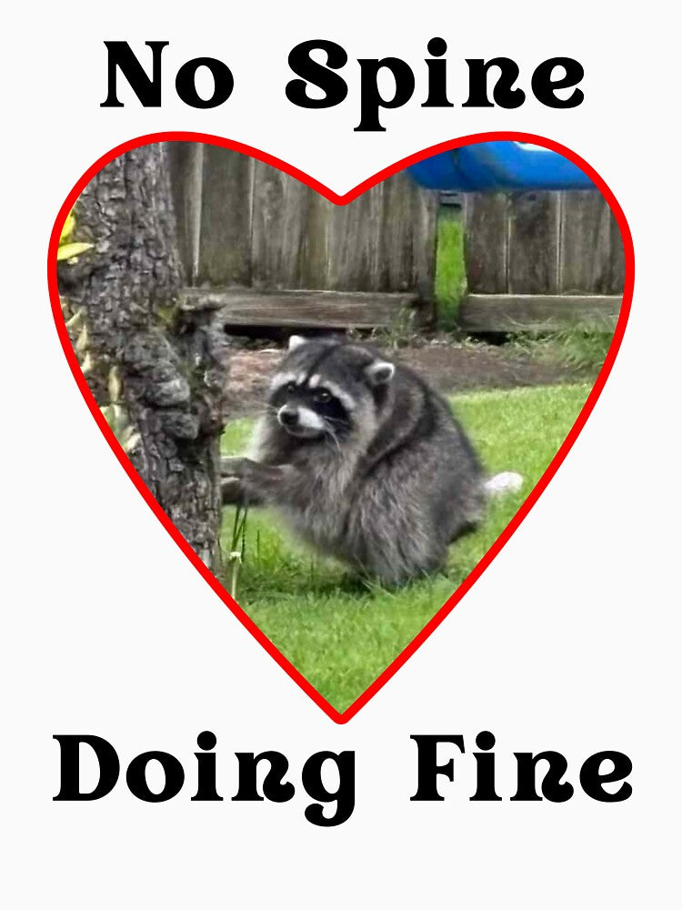 Jimothy the Raccoon No Spine Doing Fine by The Puzzle Agents