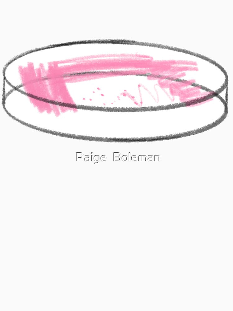 Streak Plate Sketch by Paige  Boleman