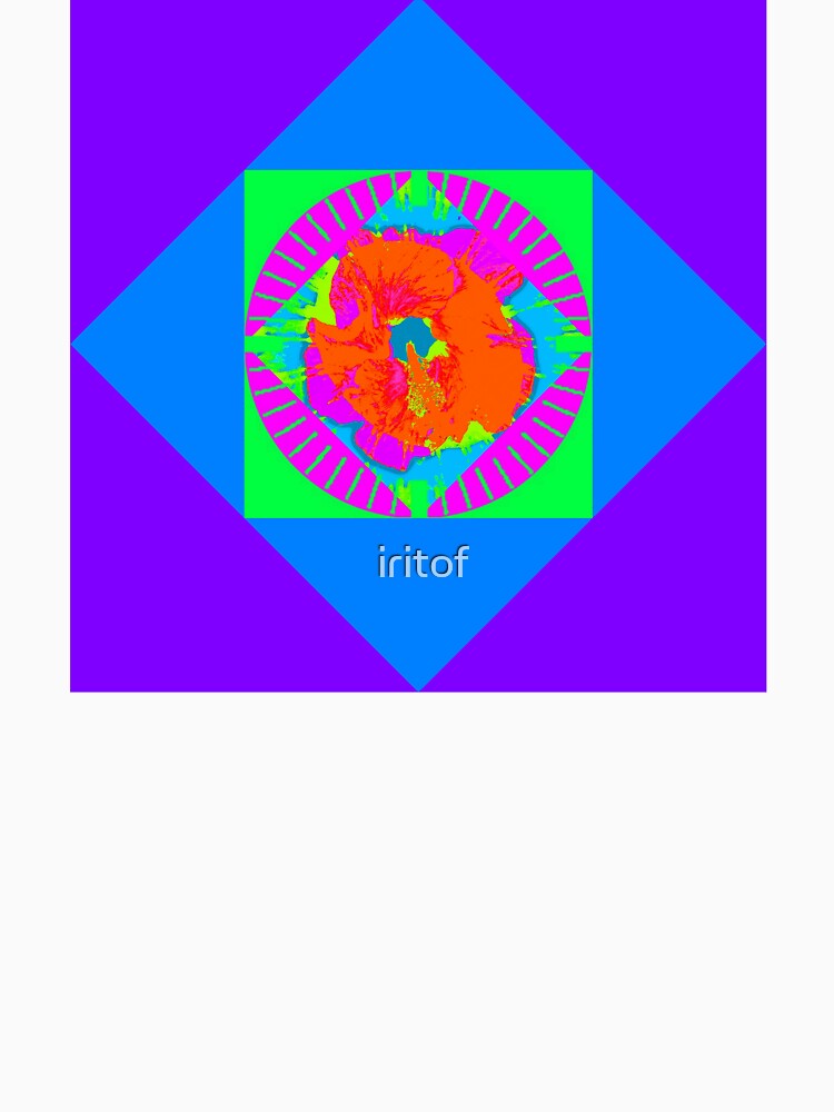 Whimsical Purple Orange abstract flower design by Iritof by iritof