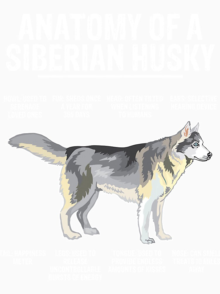 Cute and Funny Anatomy of a Siberian Husky by Nicestore099
