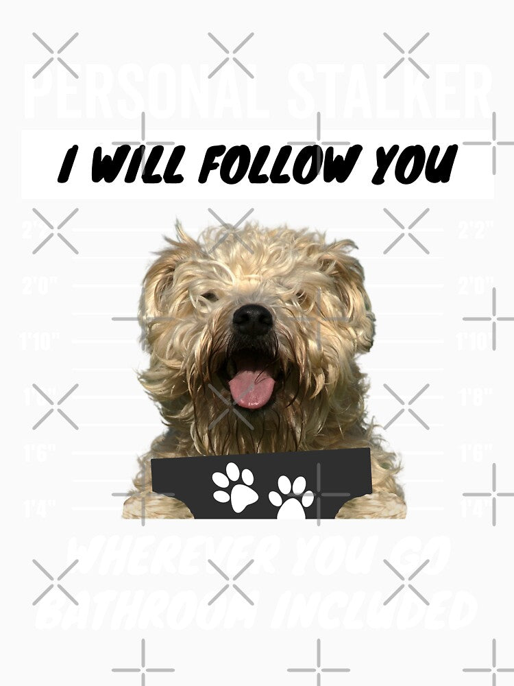 Personal Stalker Dog – Soft Coated Wheaten Terrier by More Cute Dogs
