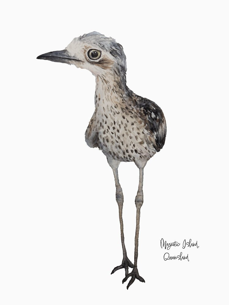Magnetic Island Bush-Stone Curlew by hannahaiello