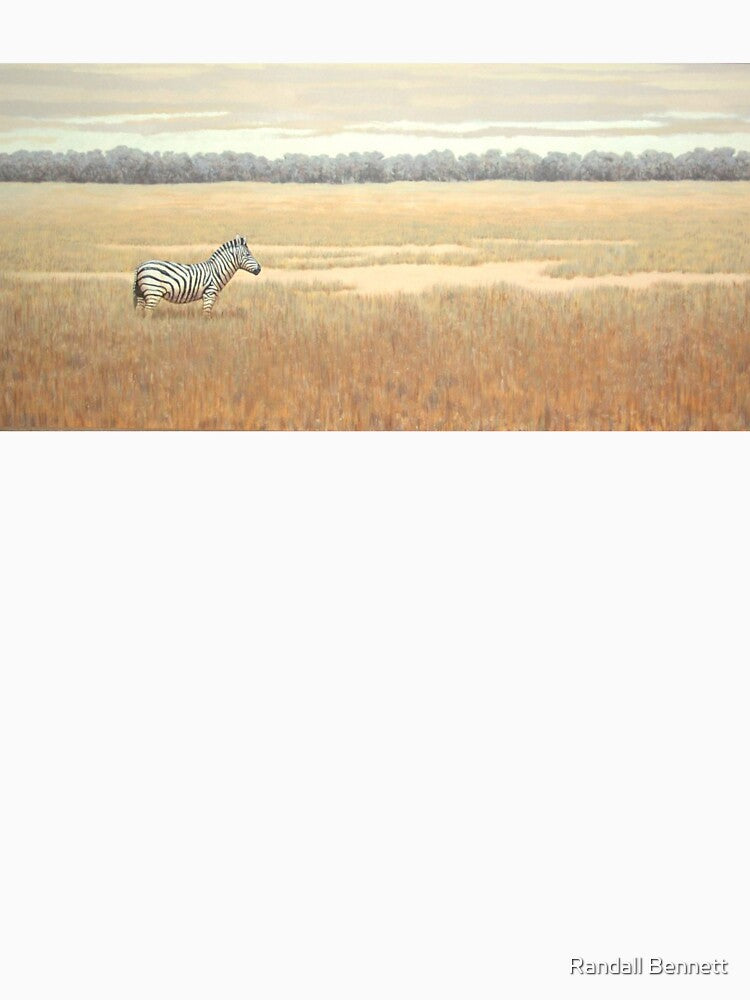 Lone zebra on grassy plain by Randall Bennett