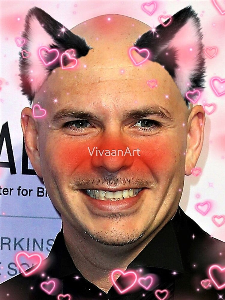 Mr. Worldwide by VivaanArt