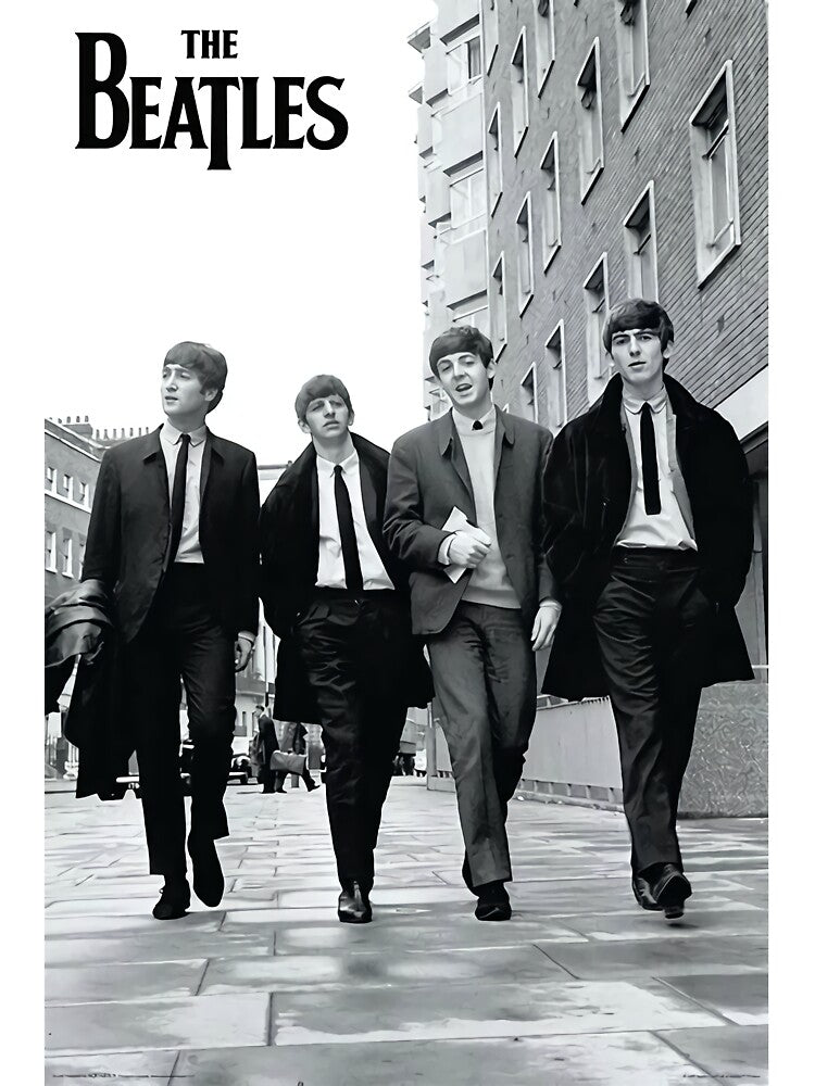 Best bands musical by David M  Goodman