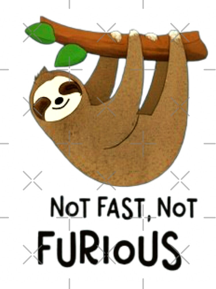 Not Fast, Not Furious by Mahe Jabeen