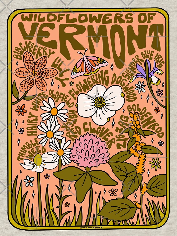 Vermont Wildflowers by doodlebymeg