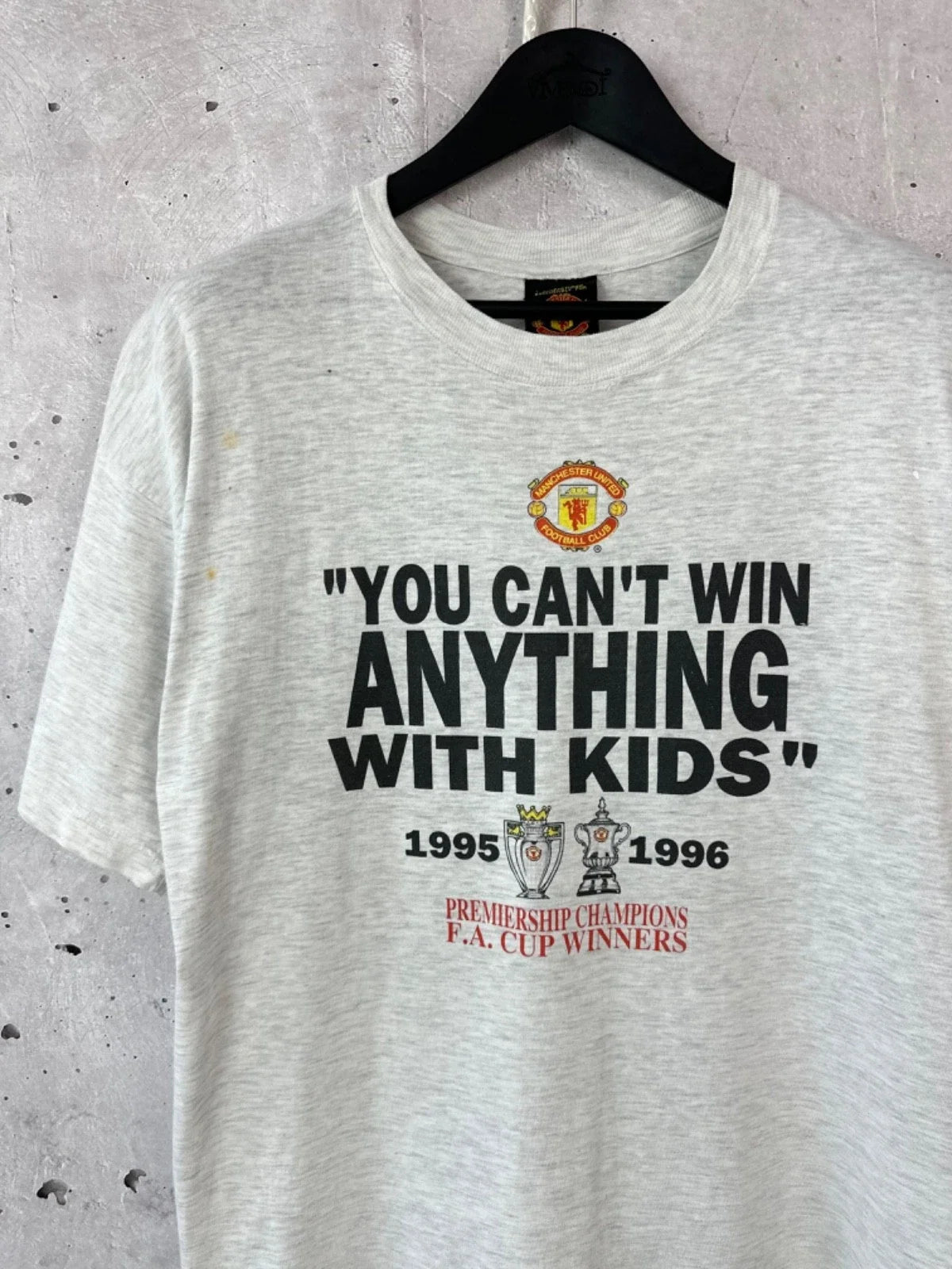 Vintage Manchester United Printed Champions 95-96 Grey Men's Size L Unisex , , , Long Sleeve Tee