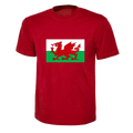 Wales Flag Red Dragon for Adult, Children Ladies World Cup Football 2026 Unisex , , , Long Sleeve Tee